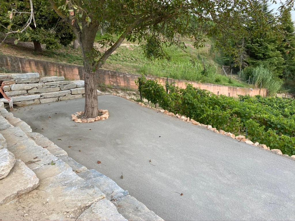 Giarvino Boutique Guest House Acqui Terme Eksteriør billede